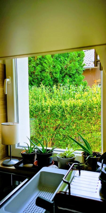 Arvalanyhaj Home Apartman Herceghalom Exteriör bild